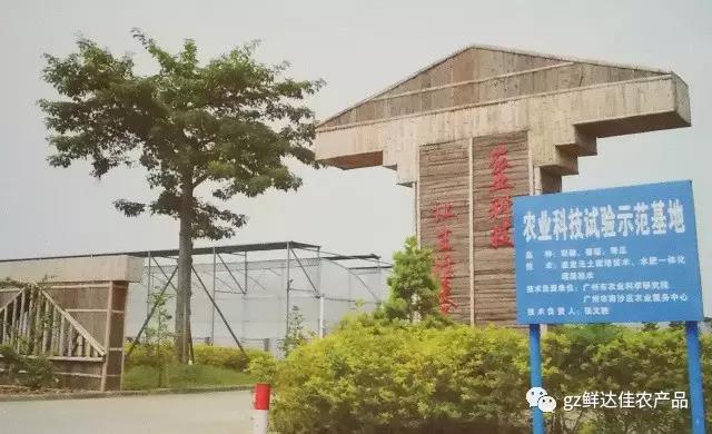 南沙农业生产91免费版黄片播放